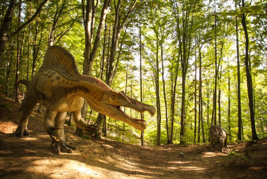 Dino Parc, Rasnov gazduieste statui mari de dinozauri, cinematograf 9D, teren de joacă, muzeu și alte activități.